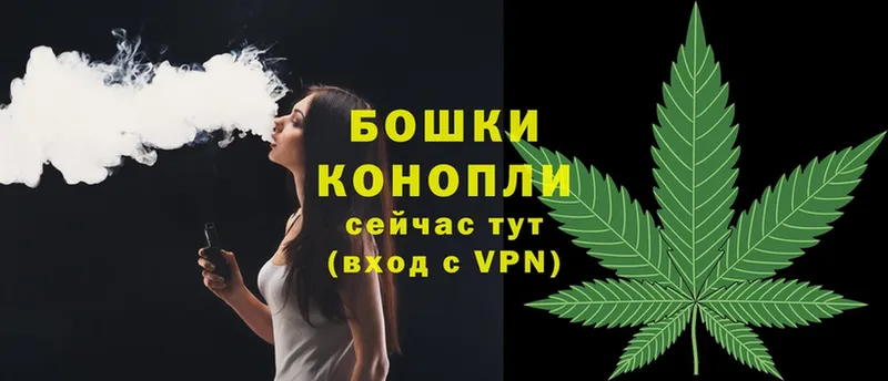 Конопля SATIVA & INDICA  Балашов 